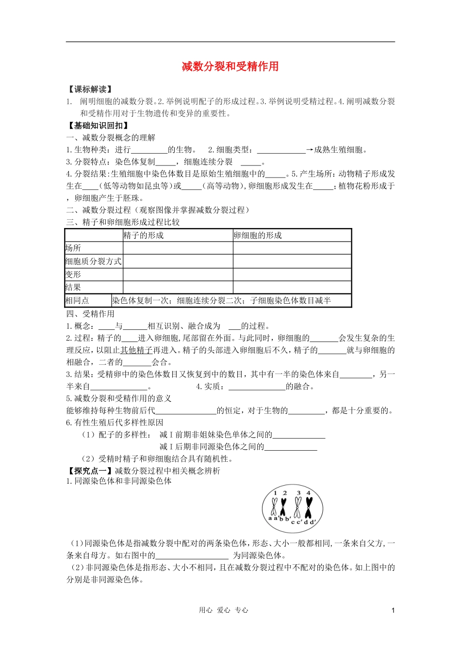 高考生物一轮复习 减数分裂和受精作用导学案 必修2_第1页