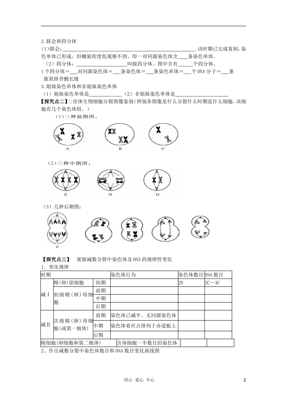 高考生物一轮复习 减数分裂和受精作用导学案 必修2_第2页