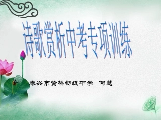 诗歌赏析专项训练何慧