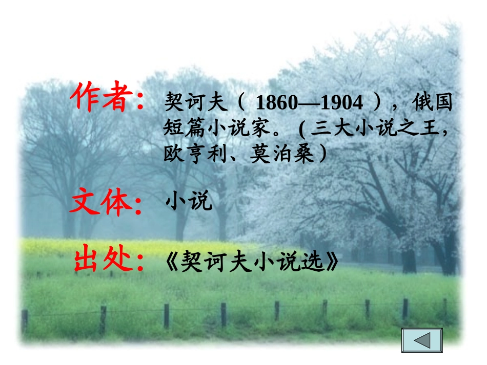 变色龙优质课件_第2页