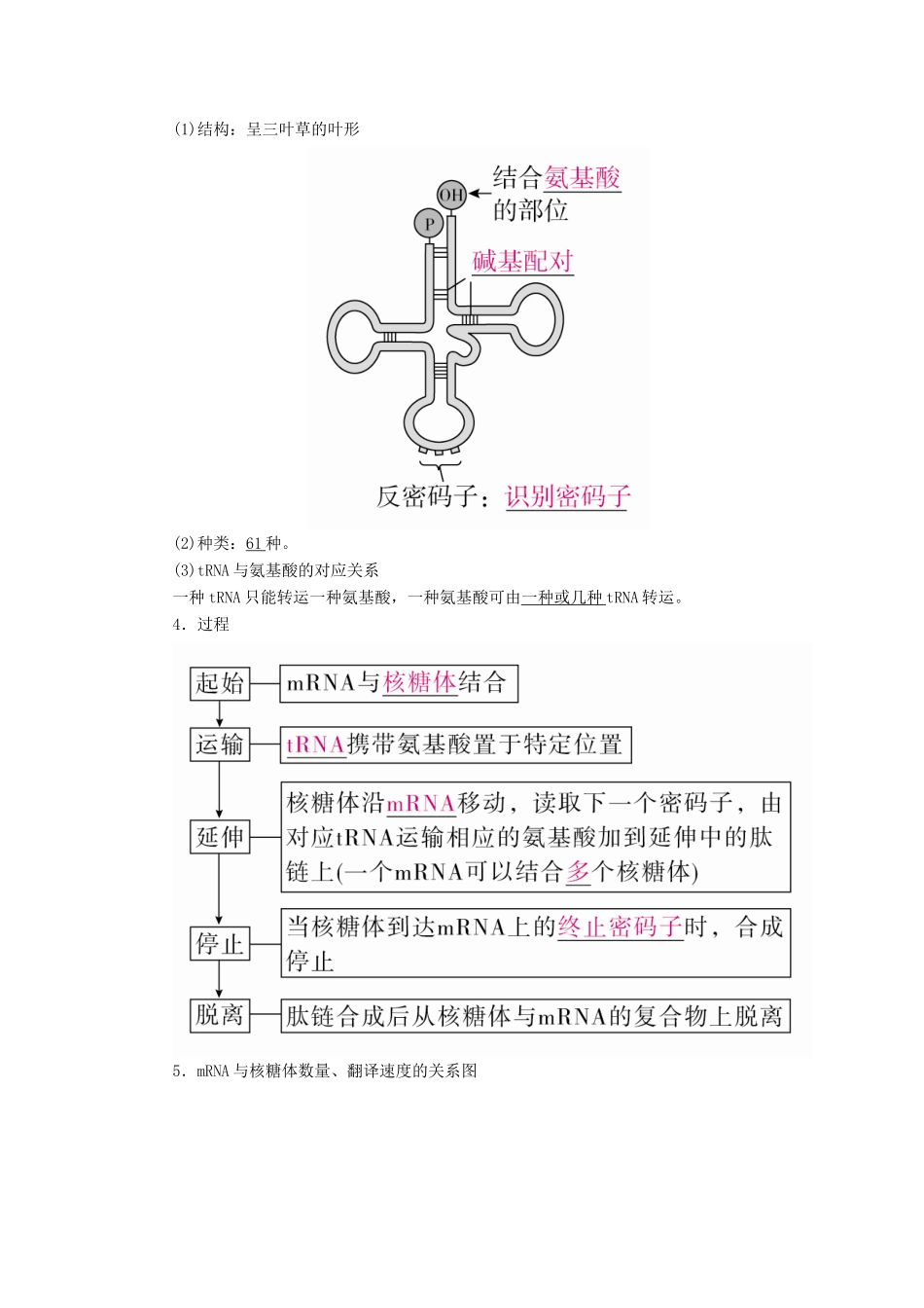 （全国版）高考生物一轮复习 第21讲 基因的表达培优学案-人教版高三全册生物学案_第3页