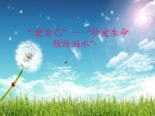 珍爱生命_预防溺水_主题班会