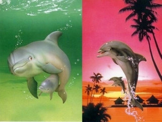 老舍《我的母亲》PPT