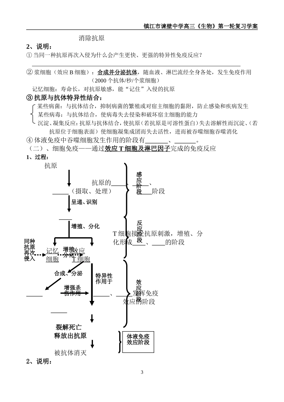 高三生物第一轮复习 必修3 免疫调节教学案_第3页