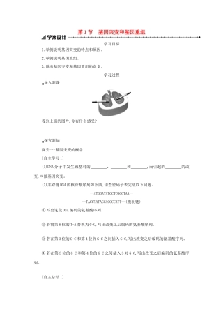 高中生物 5.1 基因突变和基因重组学案设计 新人教版必修2-新人教版高一必修2生物学案