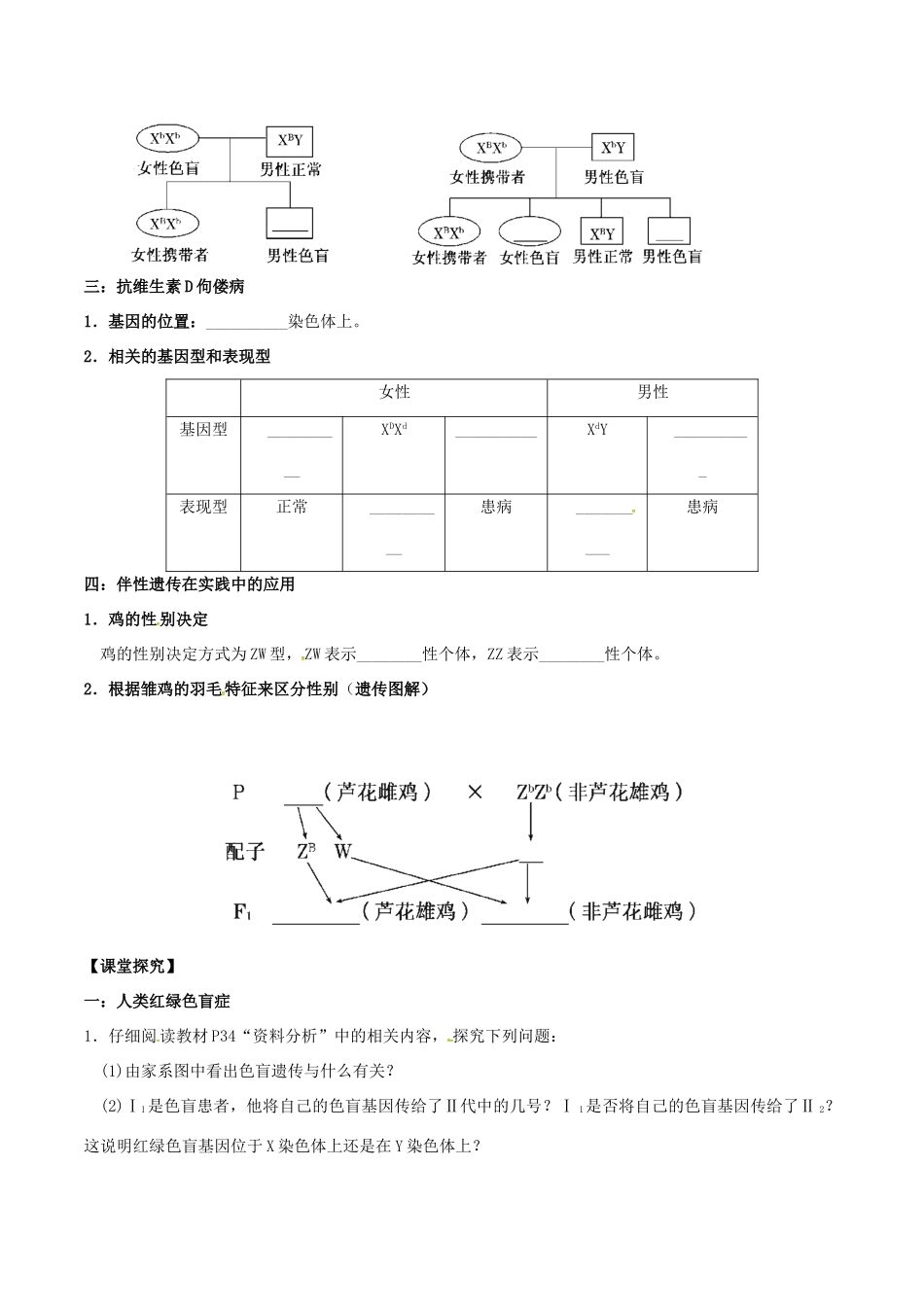 高中生物 第2章 基因和染色体的关系学案 新人教版必修2-新人教版高一必修2生物学案_第2页