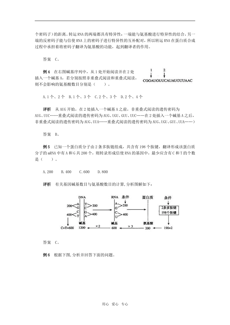 第4章　基因的表达　例题分析_第2页