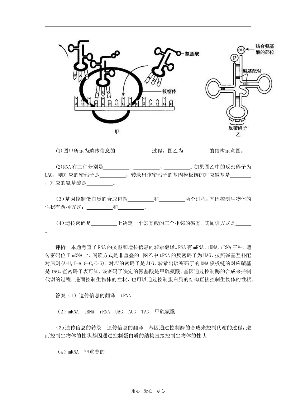 第4章　基因的表达　例题分析_第3页