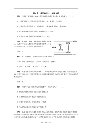 第4章　基因的表达　例题分析