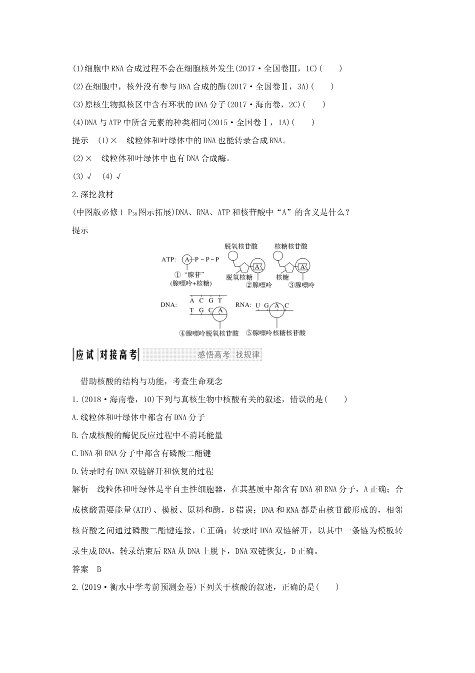 高考生物 第二单元 细胞的自我保障 第4讲 细胞中的核酸学案 中图版必修1-中图版高三必修1生物学案_第3页