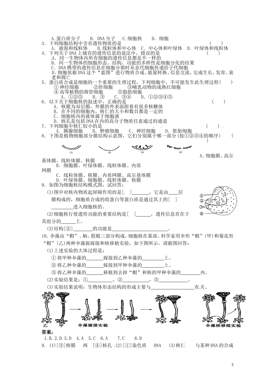 甘肃省武威第五中学高中生物 3.3 细胞核-系统的控制中心学案 新人教版必修1_第3页