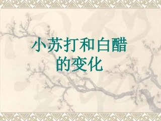 小苏打和白醋的变化PPT