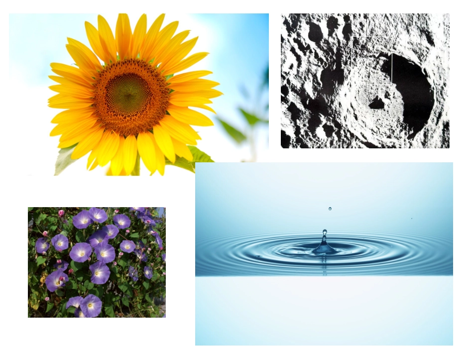 六年级上册《圆的认识》课件_第3页