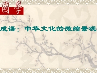 成语--中华文化的微缩景观