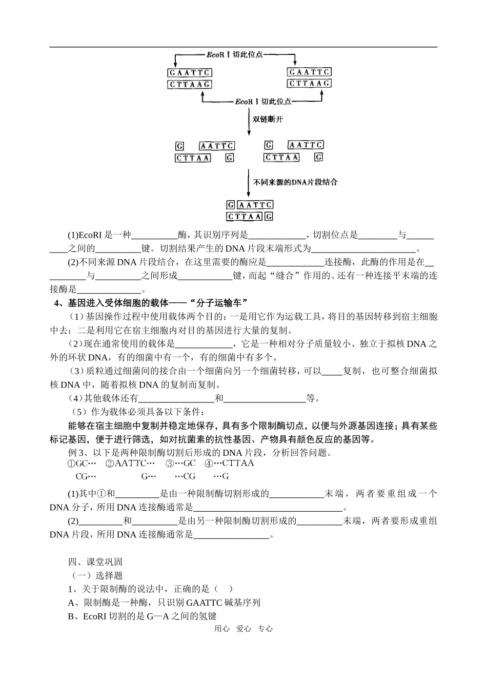 1．1  DNA重组技术的基本工具_第2页