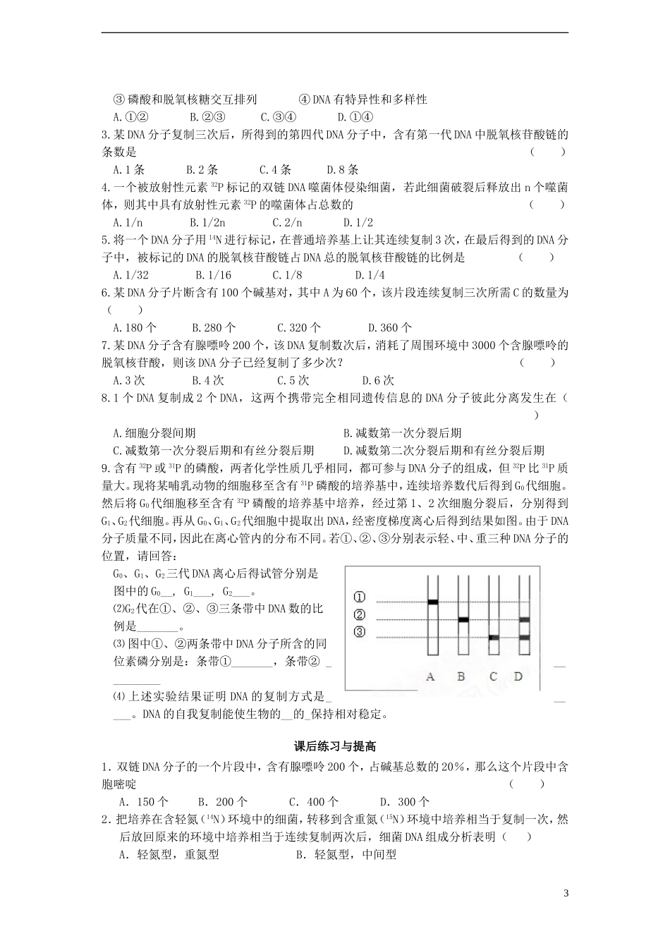 高中生物 3.3《DNA的复制》学案 新人教版必修2-新人教版高一必修2生物学案_第3页