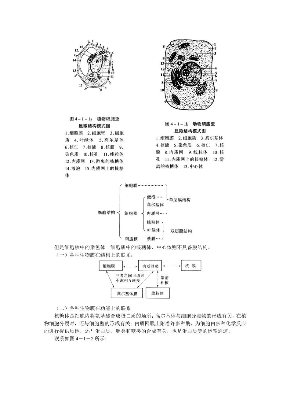 高三生物细胞的生物膜系统学案_第2页