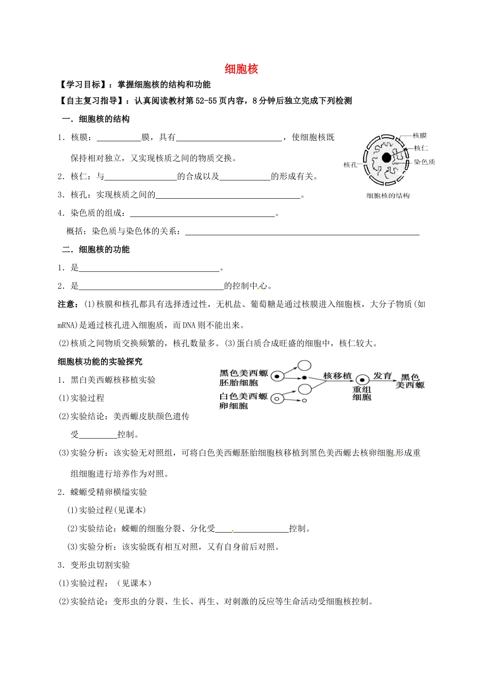 高三生物 细胞核复习学案-人教版高三全册生物学案_第1页