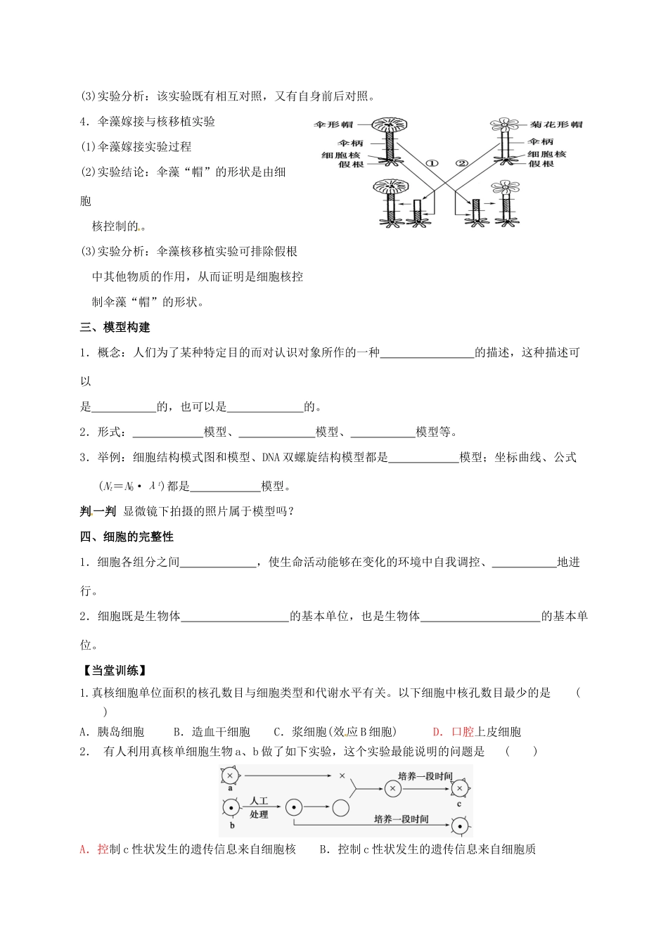 高三生物 细胞核复习学案-人教版高三全册生物学案_第2页