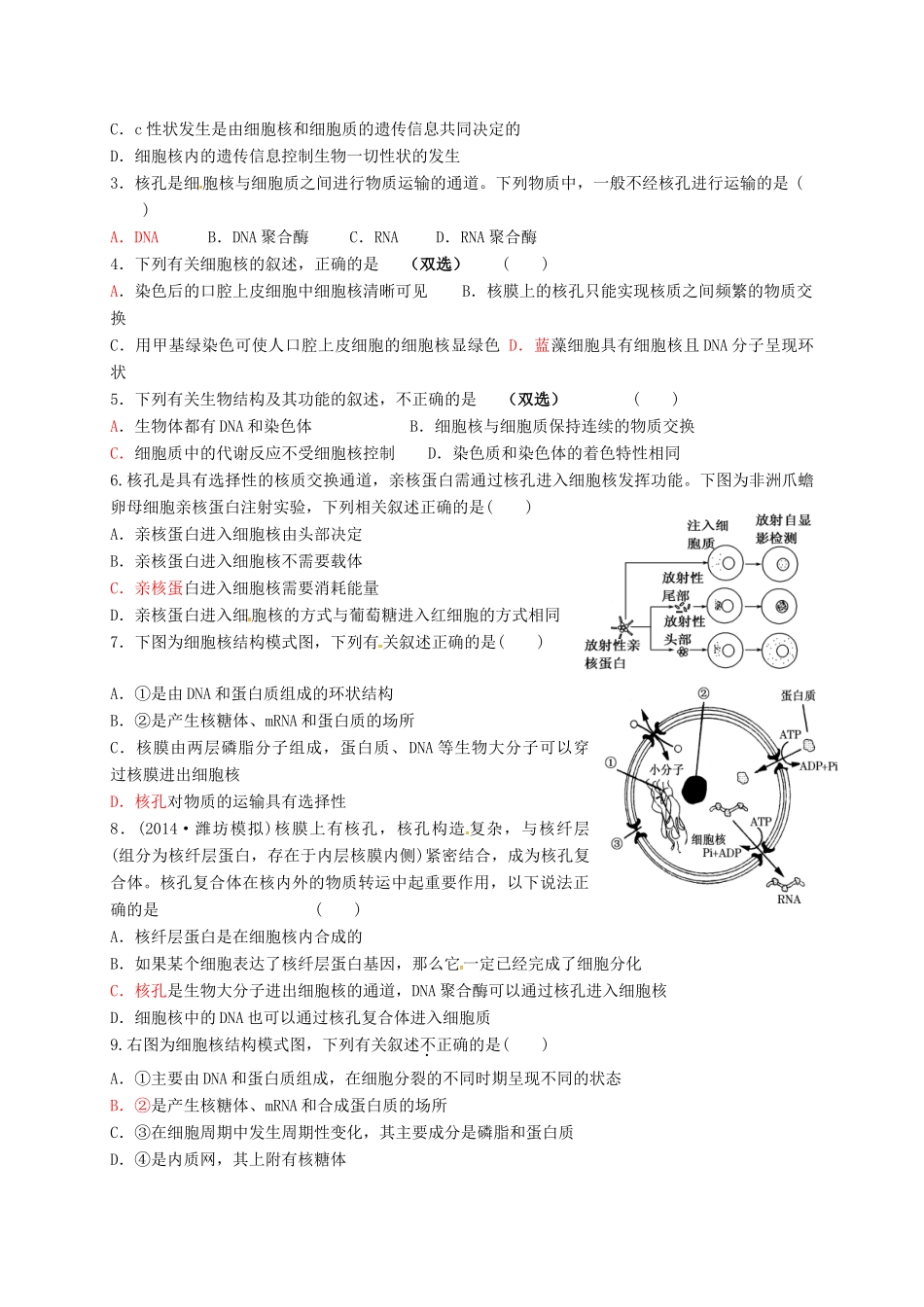 高三生物 细胞核复习学案-人教版高三全册生物学案_第3页