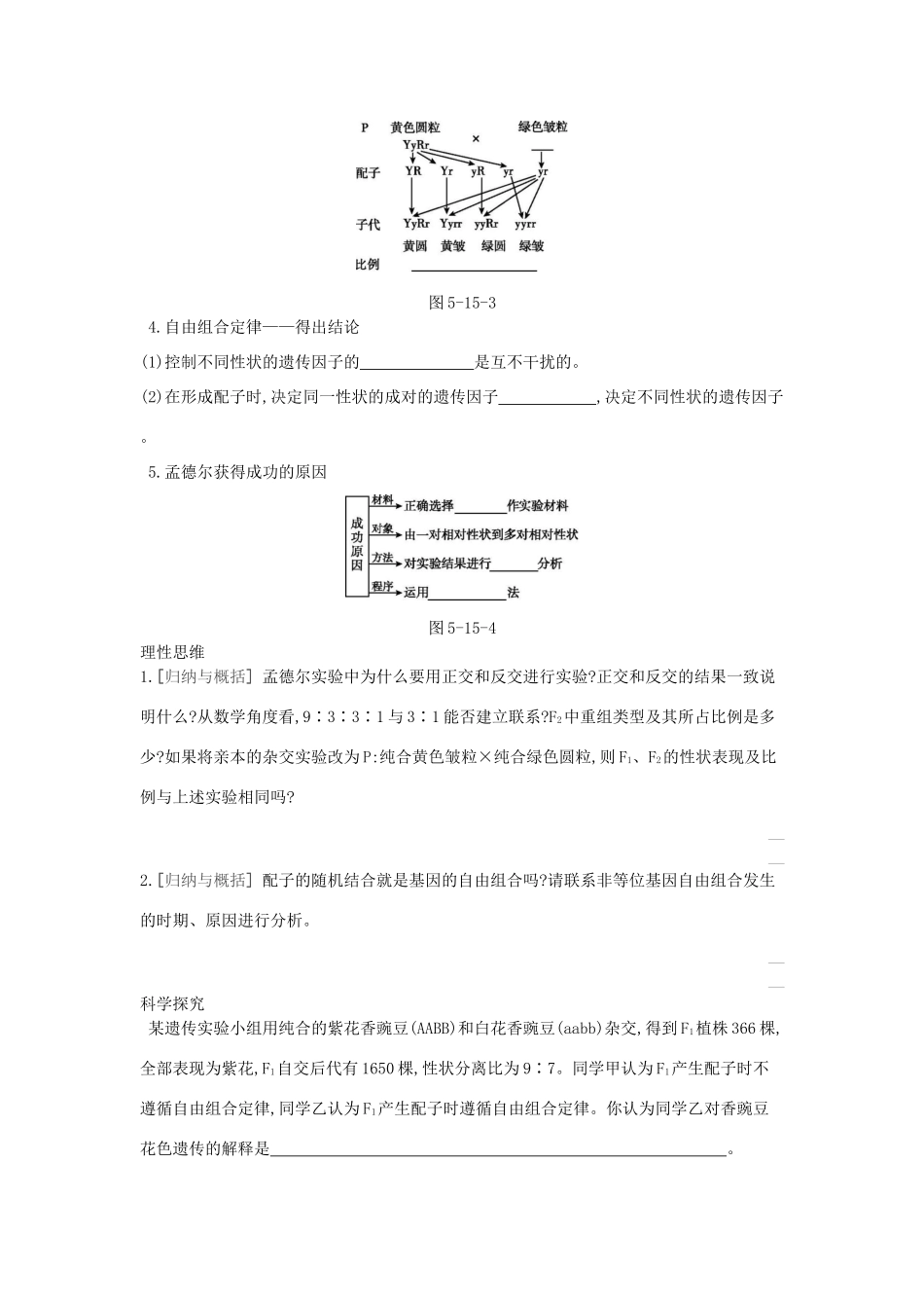 高考生物一轮复习 第5单元 遗传的基本规律和遗传的细胞基础 第15讲 基因的自由组合定律（1课时）学案 苏教版-苏教版高三全册生物学案_第2页