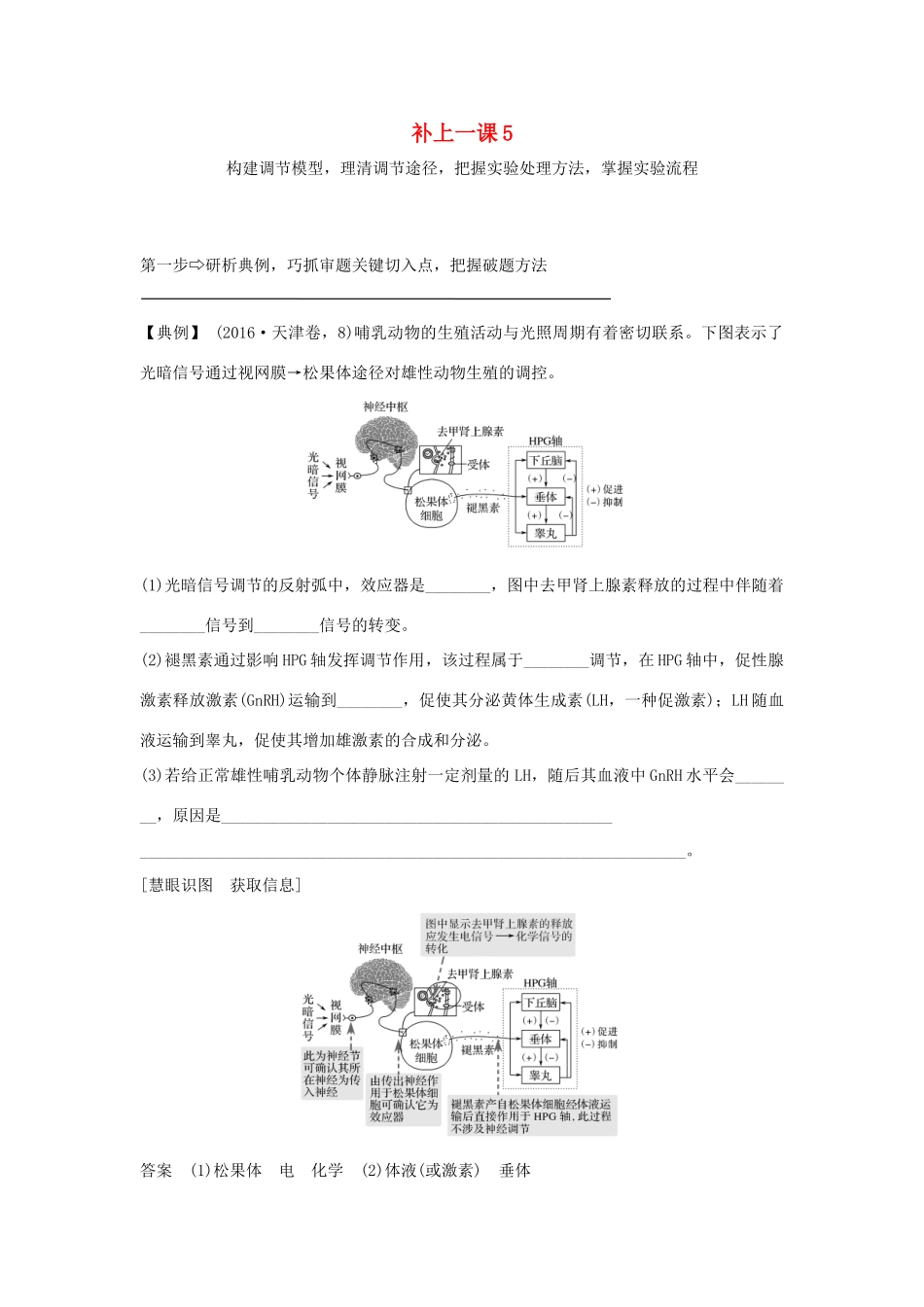 高考生物大一轮复习 第八单元 生物个体的稳态 补上一课5学案 苏教版-苏教版高三全册生物学案_第1页