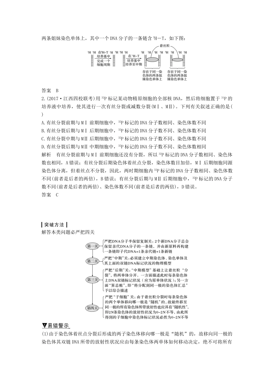 高考生物一轮复习 第四单元 细胞的能量供应与利用 补上一课3 有丝分裂与减数分裂过程中染色体及DNA放射性追踪创新备考学案 中图版-中图版高三全册生物学案_第2页