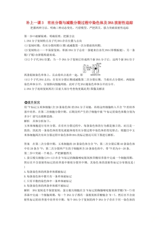 高考生物一轮复习 第四单元 细胞的能量供应与利用 补上一课3 有丝分裂与减数分裂过程中染色体及DNA放射性追踪创新备考学案 中图版-中图版高三全册生物学案
