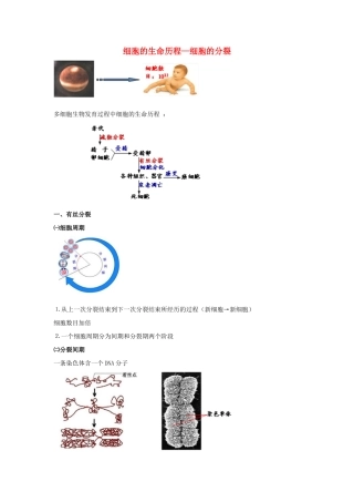 高考生物专题复习 1细胞的增殖学案-人教版高三全册生物学案