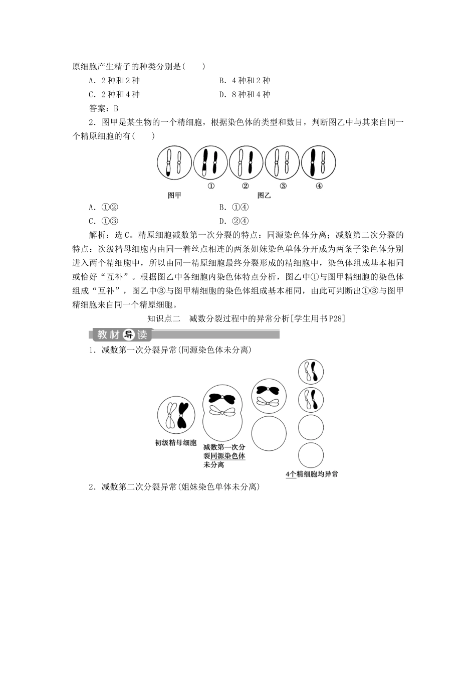 高中生物 第2章 基因和染色体的关系 第1节 减数分裂和受精作用（Ⅲ）学案 新人教版必修2-新人教版高一必修2生物学案_第2页