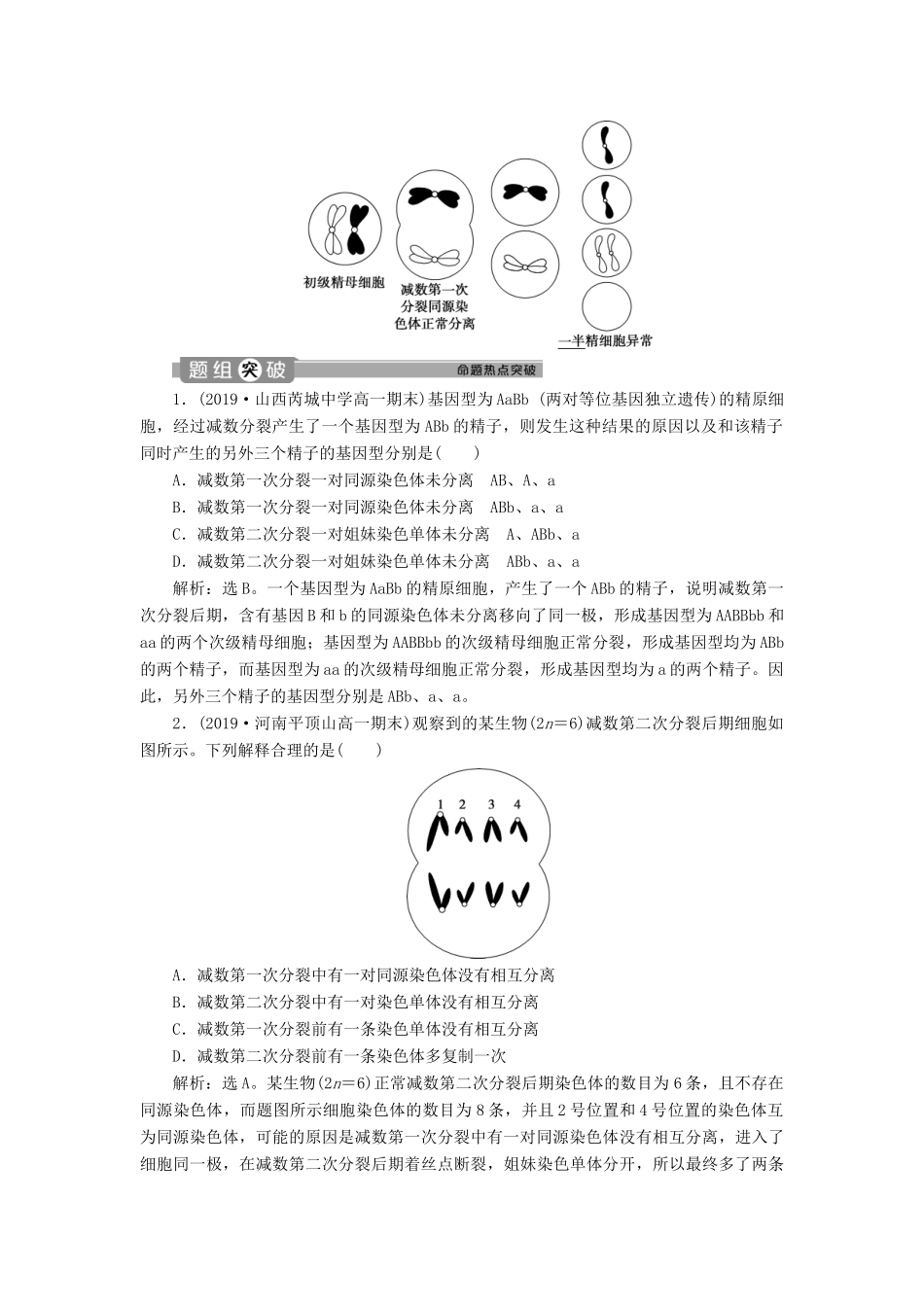 高中生物 第2章 基因和染色体的关系 第1节 减数分裂和受精作用（Ⅲ）学案 新人教版必修2-新人教版高一必修2生物学案_第3页