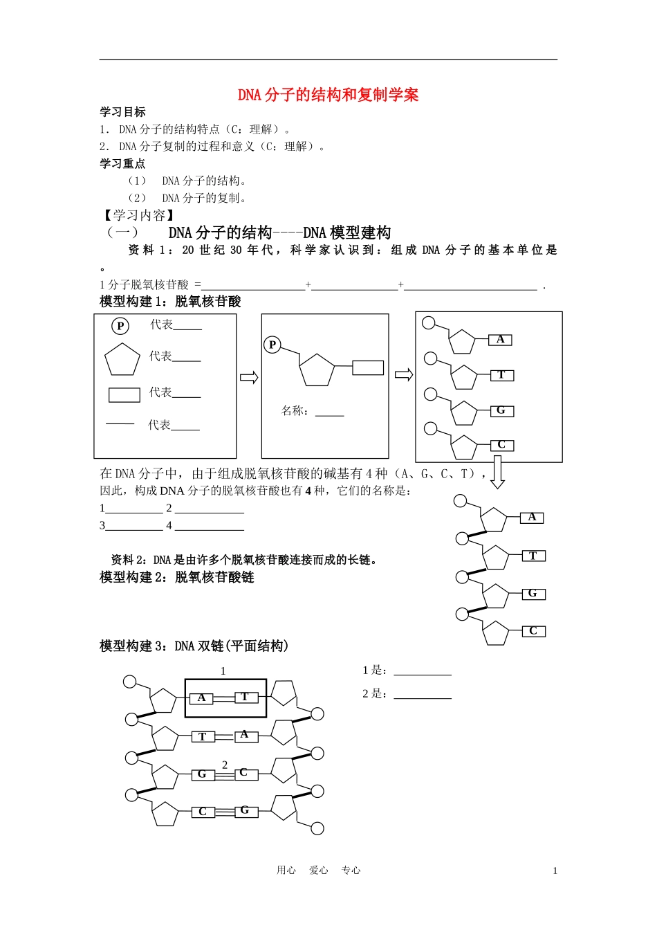 高中生物 4.2《DNA的结构和DNA的复制》学案3 苏教版必修2_第1页