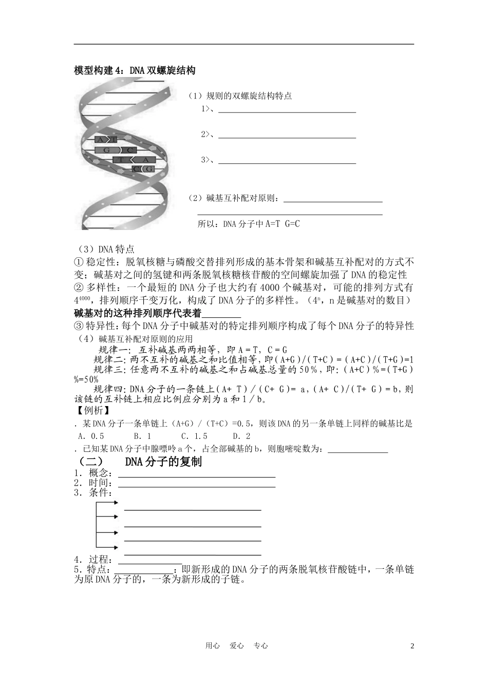 高中生物 4.2《DNA的结构和DNA的复制》学案3 苏教版必修2_第2页