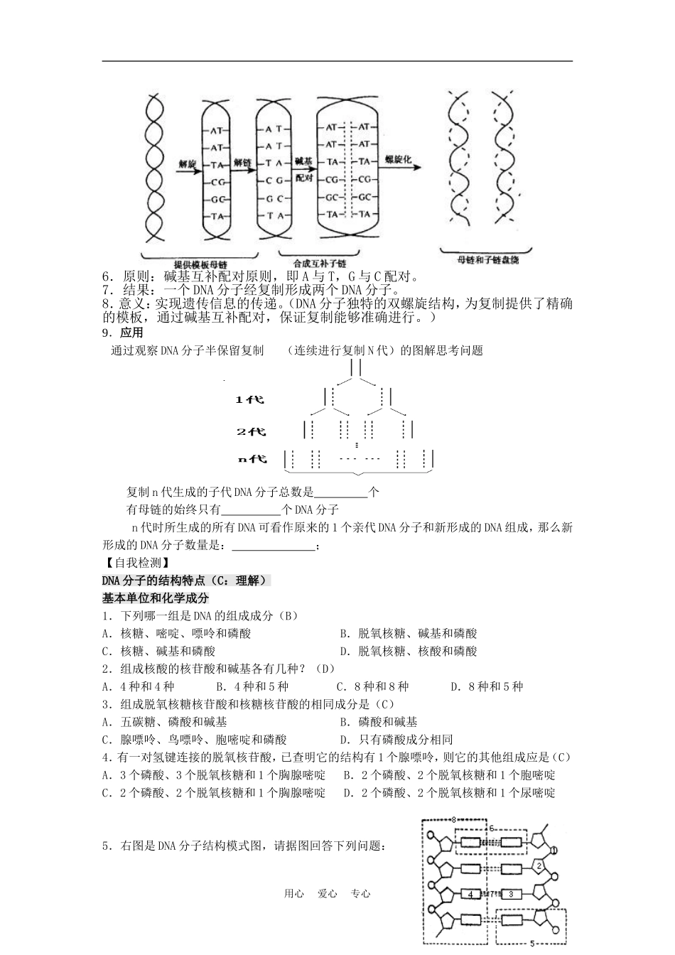 高中生物 4.2《DNA的结构和DNA的复制》学案3 苏教版必修2_第3页