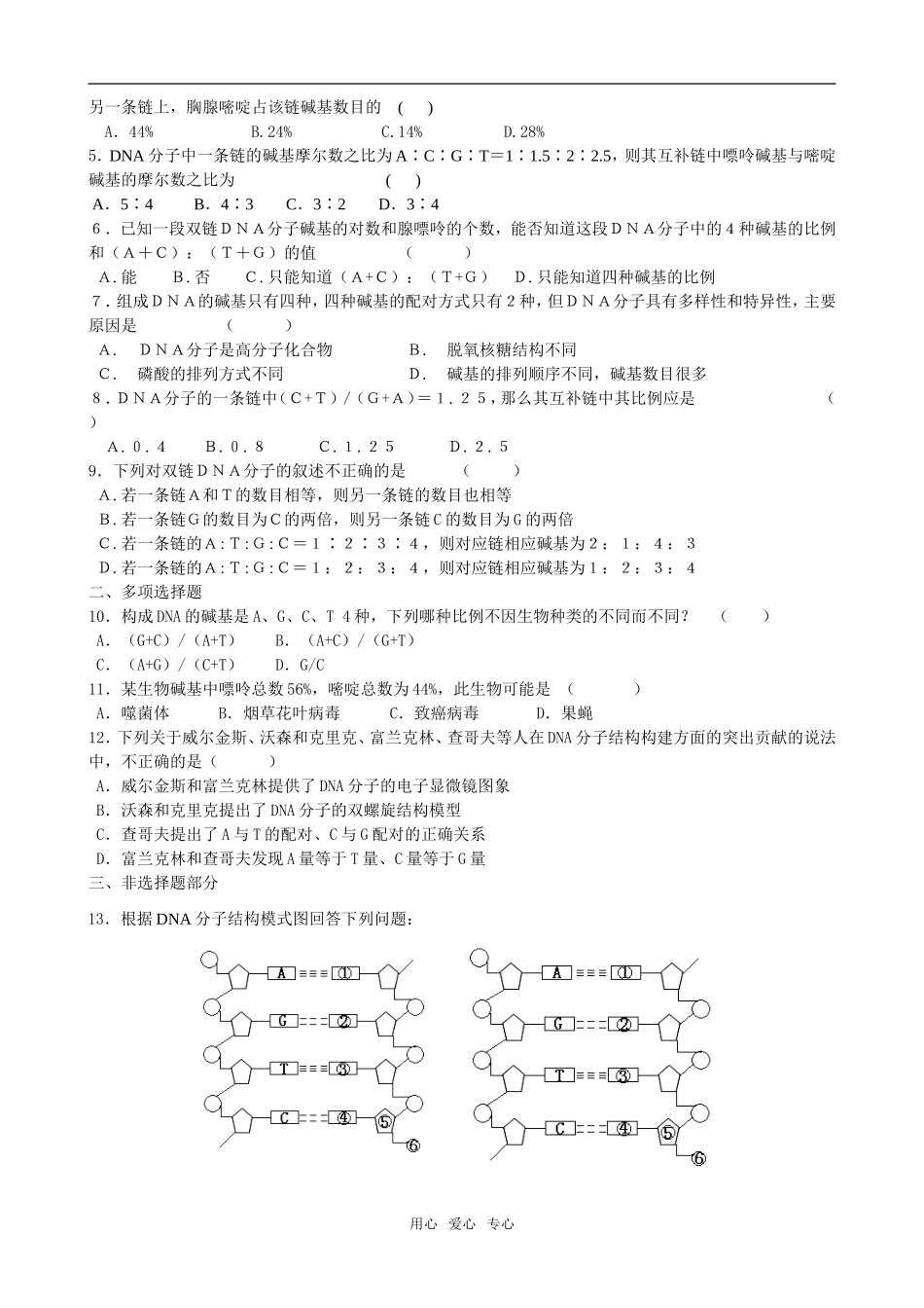7板中任礼明-DNA分子的结构1_第3页