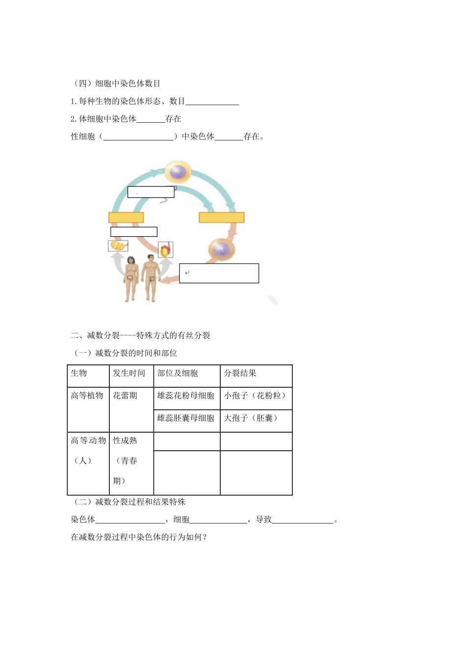 高考生物专题复习 4减数分裂和受精作用（一）染色体相关知识学案-人教版高三全册生物学案_第2页