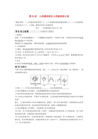 高考生物一轮复习 第八单元 第20讲 人类遗传病及人类基因组计划学案 中图版必修2-中图版高三必修2生物学案