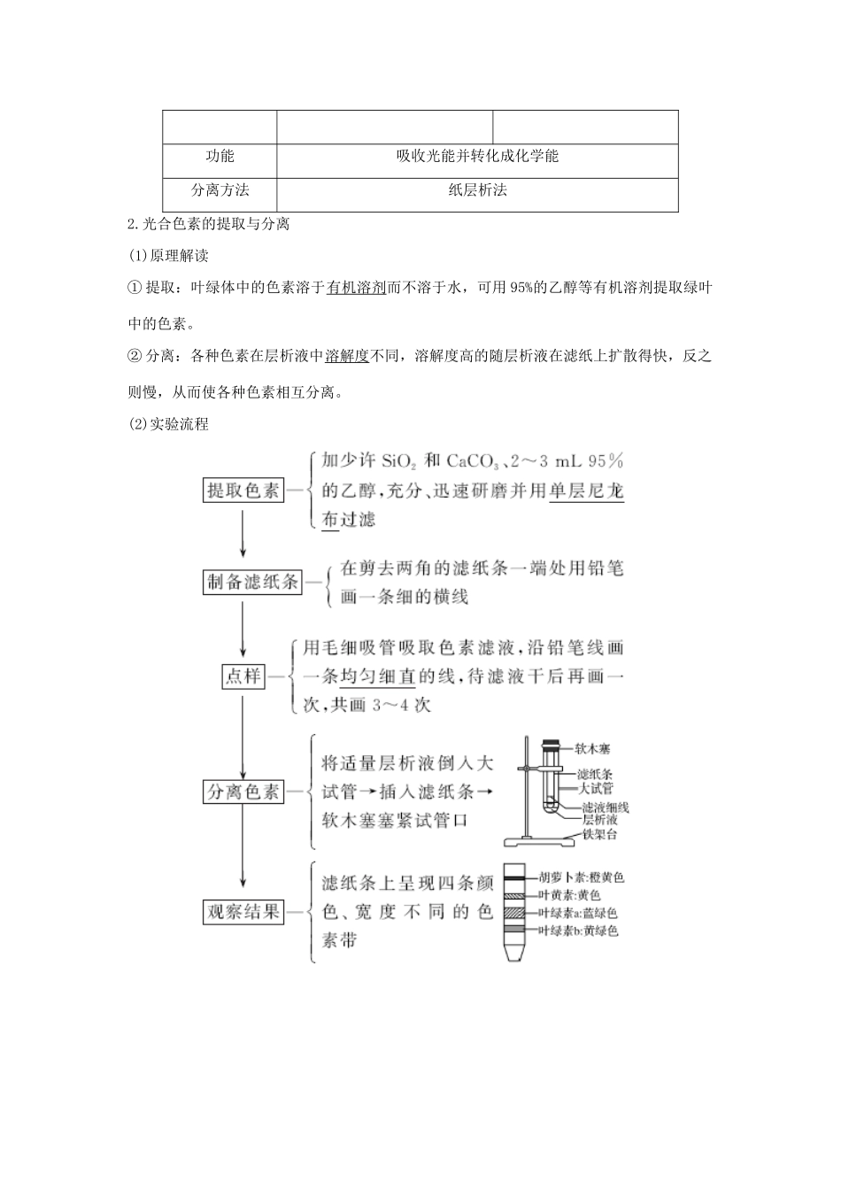（浙江专版）高考生物一轮复习 第7讲 光合作用学案-人教版高三全册生物学案_第2页