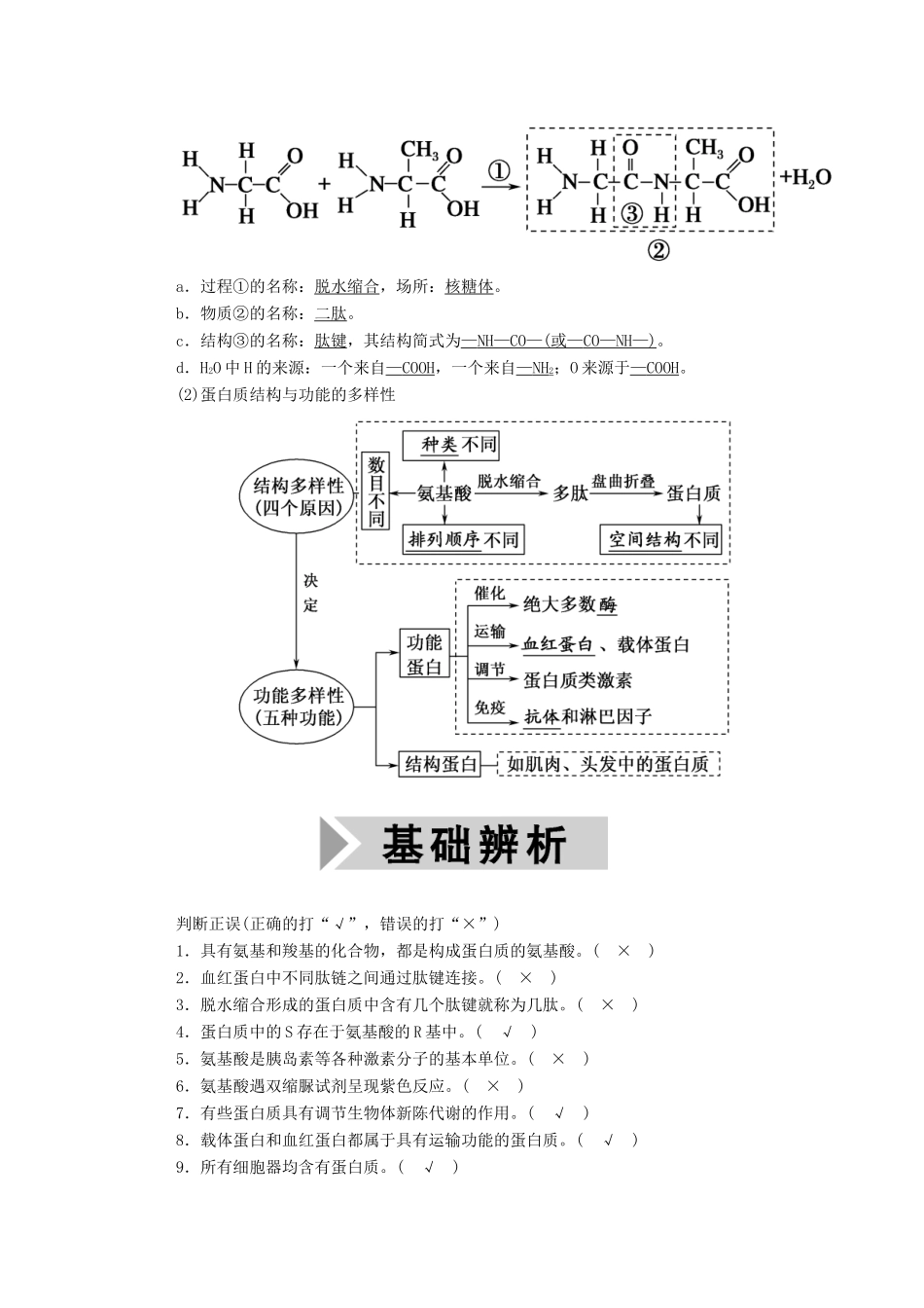 高考生物一轮复习 第一单元 走近细胞和组成细胞的分子 第3讲 生命活动的主要承担者——蛋白质学案 新人教版-新人教版高三全册生物学案_第2页