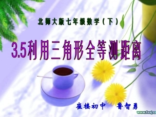 利用全等测距离