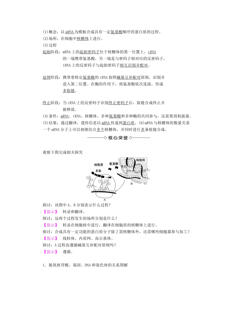 高中生物 第4章 遗传的分子基础 第3节 基因控制蛋白质的合成学案 苏教版必修2-苏教版高二必修2生物学案_第2页