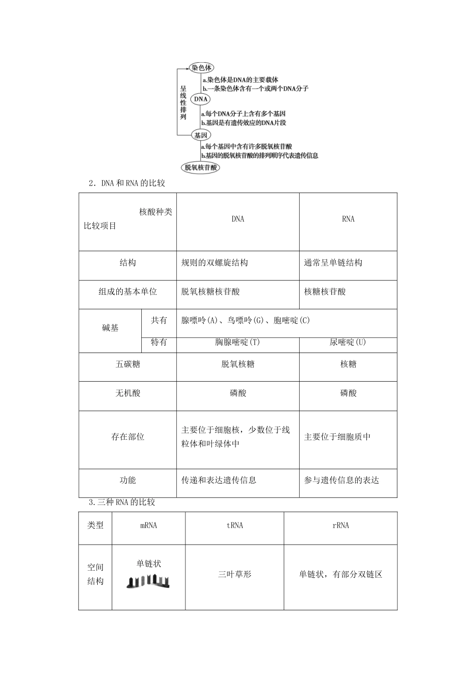 高中生物 第4章 遗传的分子基础 第3节 基因控制蛋白质的合成学案 苏教版必修2-苏教版高二必修2生物学案_第3页