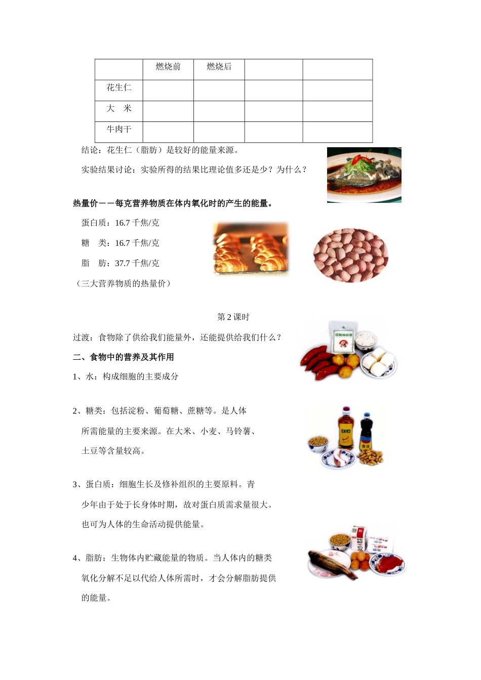 九年级科学上册 4.1动物的食物与摄食教案 浙教版_第2页
