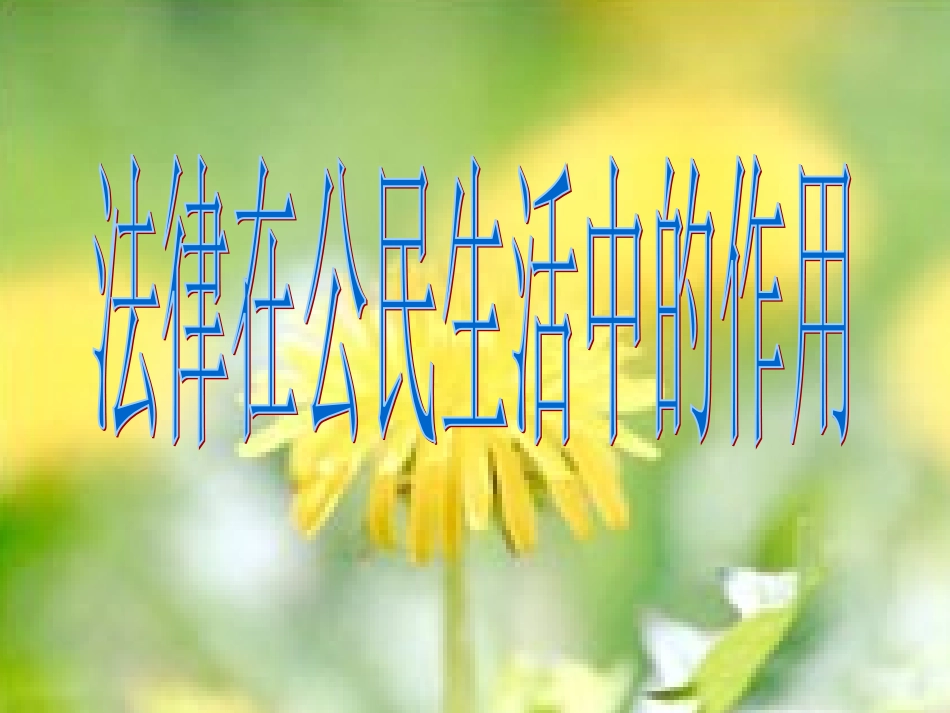 法律在公民生活中的作用_第1页