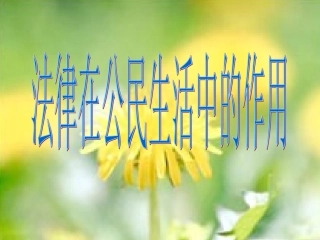 法律在公民生活中的作用