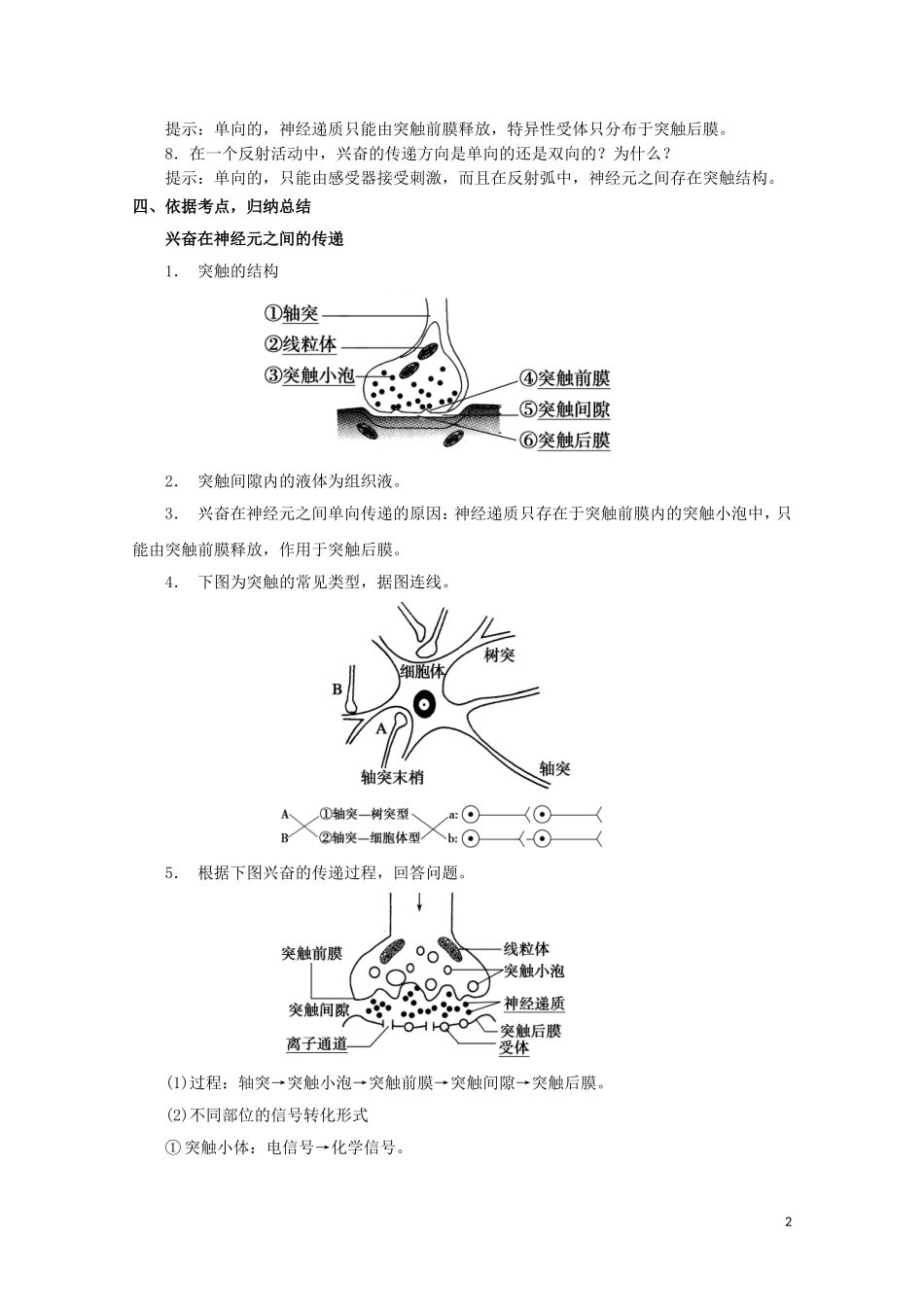 高中生物 2.2 神经系统的结构与功能导学案（第2课时）浙科版必修3_第2页