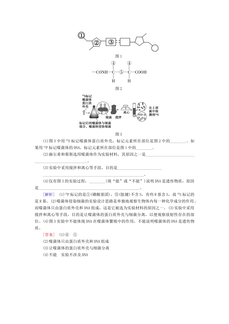 高中生物 第4章 遗传的分子基础 微专题突破 DNA是主要遗传物质的实验比较学案 苏教版必修2-苏教版高一必修2生物学案_第3页
