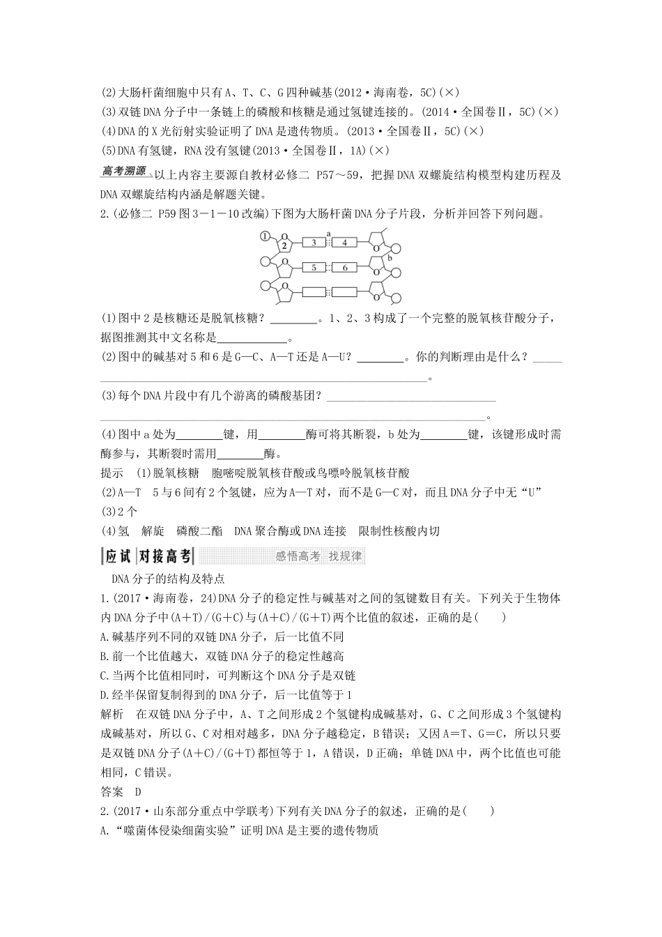高考生物一轮复习 第七单元 第16讲 DNA的分子结构及复制学案 中图版必修2-中图版高三必修2生物学案_第2页