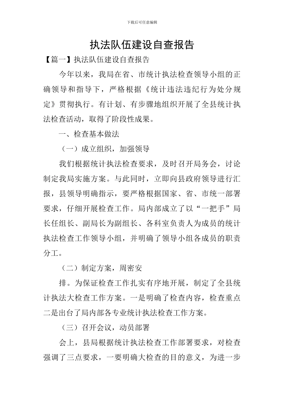 执法队伍建设自查报告_第1页