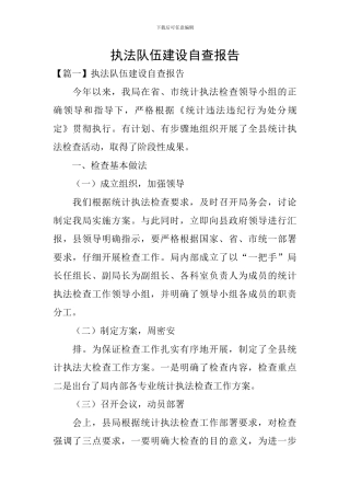 执法队伍建设自查报告